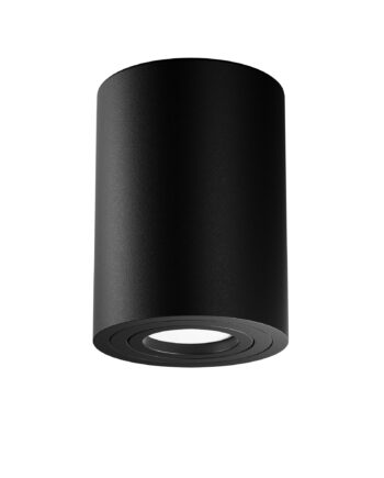 Потолочный светильник Technical C016CL-01B
