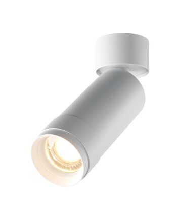 Потолочный светильник Technical C055CL-L12W3K-Z-W