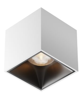 Потолочный светильник Technical C065CL-L12W3K-D