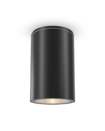 Уличный потолочный светильник Outdoor O307CL-01B