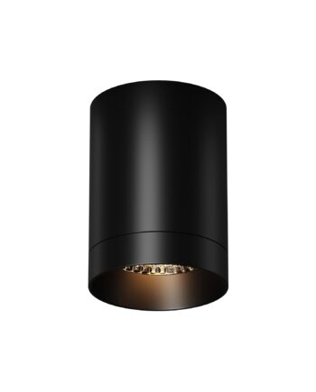 Уличный потолочный светильник Outdoor O500CL-L10B3K
