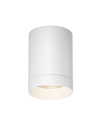 Уличный потолочный светильник Outdoor O500CL-L10W3K