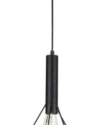 Подвесной светильник Maytoni T021-01-B