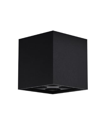 Уличный потолочный светильник Outdoor O309CL-L8GF3K