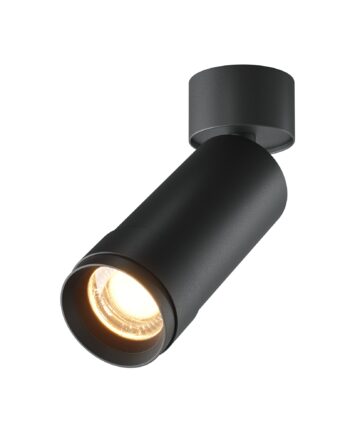 Потолочный светильник Technical C055CL-L12W2.7K-Z-B