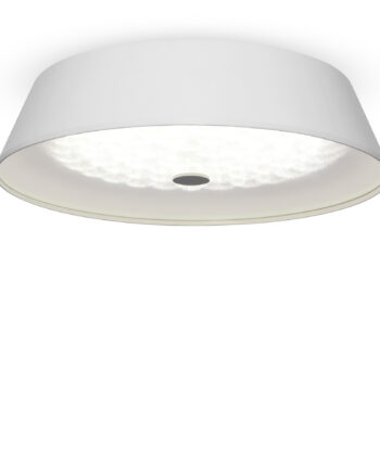 Потолочный светильник Freya FR10013CL-L24W
