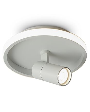 Потолочный светильник Freya FR6040CL-L14W